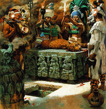 Image Image